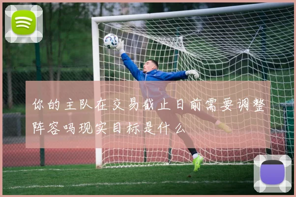你的主队在交易截止日前需要调整阵容吗现实目标是什么