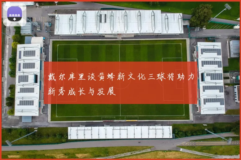 戴尔库里谈黄蜂新文化三球将助力新秀成长与发展