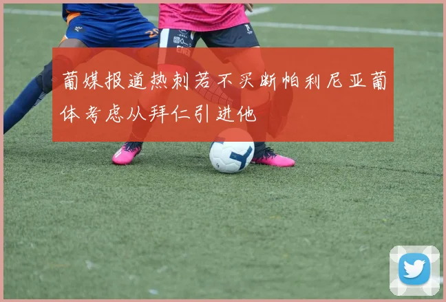 葡媒报道热刺若不买断帕利尼亚葡体考虑从拜仁引进他