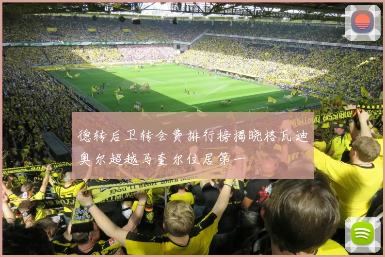 德转后卫转会费排行榜揭晓格瓦迪奥尔超越马奎尔位居第一